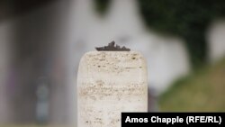 Статуетката "Москва" е поставена на нисък бетонен стълб на т.нар. Московска алея в Будапеща, но само който се приближи наистина близо може да разбере защо творбата се кацва така.