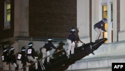 Полицаи влизат в окупираната зала на Колумбийския университет.