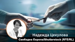 Колаж със снимка на авторката Надежда Цекулова