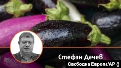 Колаж от снимка на автора и зеленчука патладжан. 