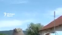 Как руската пропаганда влиза в българските училища