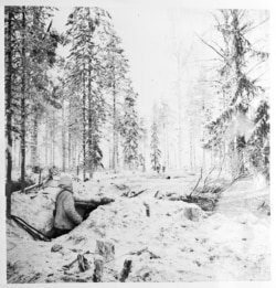 Финландски войник наблюдава гората